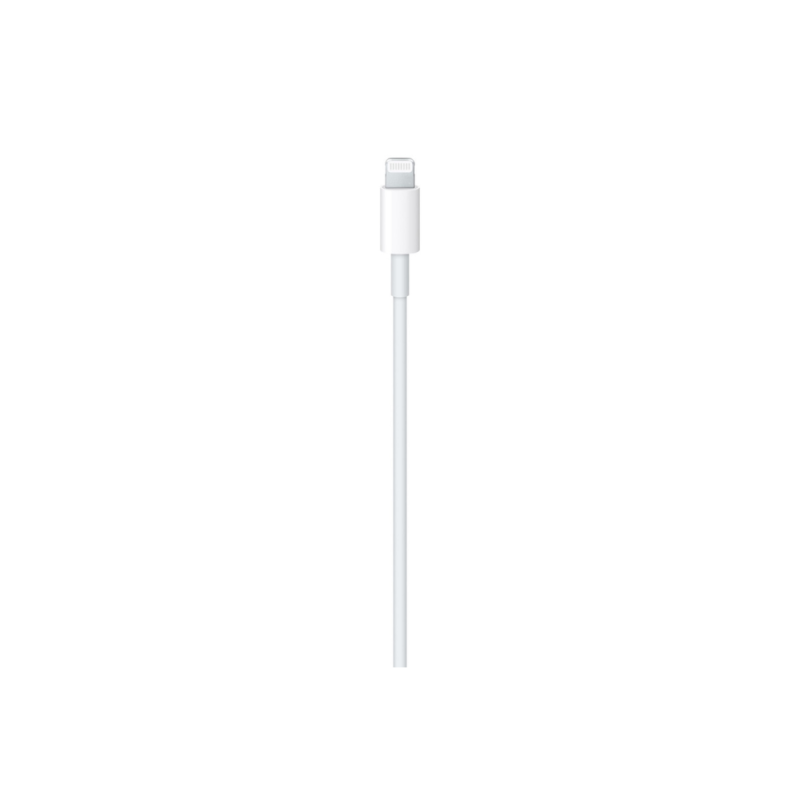 Apple Câble USB-C vers Lightning (1 m)