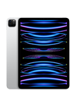 iPad Pro 11 pouces (4ᵉ génération)